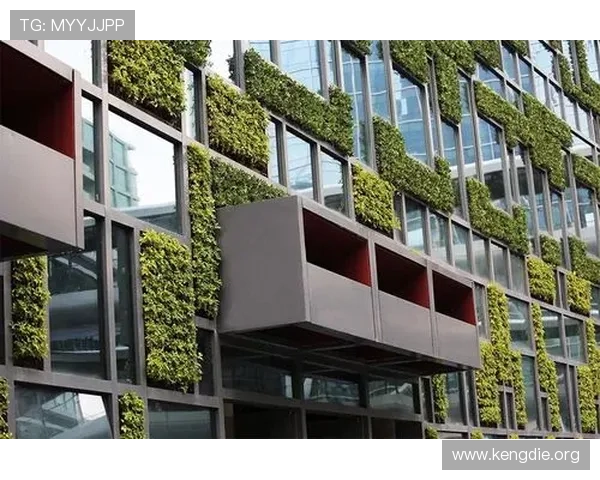 欧博会官网入口网址官方入口最新版本，确保用户顺利进入欧博会官方平台获取最新资讯